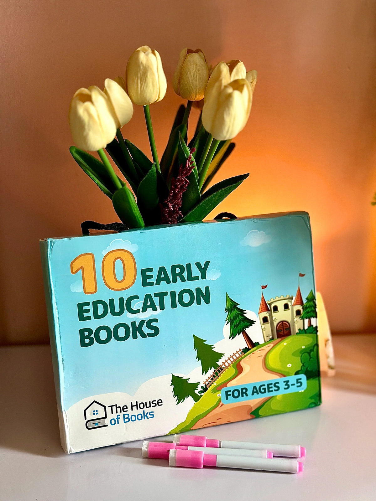 Write & Wipe Children Learning  Book Set
